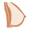 Solid breast